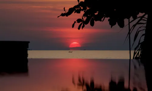 Infinity Pool, Ocean And Sunset