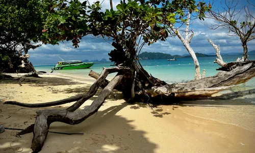 Another Island Adventure